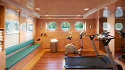 MS VistaDiamond - Fitnessraum