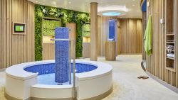 AIDAnova - Saunalandschaft