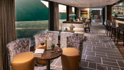 MS Amadeus Brilliant - Panorama Lounge