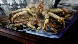 MS Nordkapp - Brygga Bistro