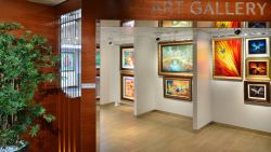 MS Koningsdam - Art Gallery