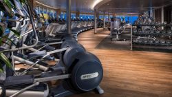 MS Koningsdam - Fitness Center