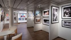 MS Nieuw Statendam - Art Gallery