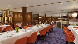 MS Rotterdam - Club Orange