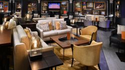 MS Westerdam - Gallery Bar