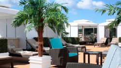 MS Westerdam - The Retreat