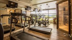 MS Esprit - Fitnessraum & Massagesalon