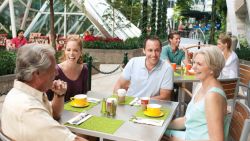 Allure of the Seas - Park Cafe