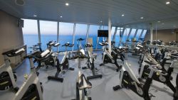 Anthem of the Seas - Spinclass