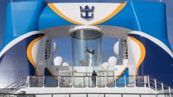 Quantum of the Seas - IFly