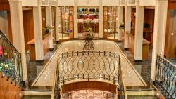 MS VIVA INSPIRE - Lobby